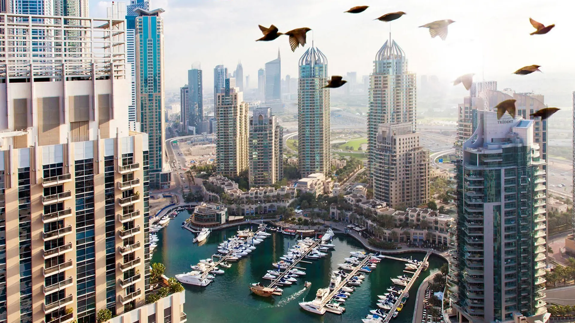 Dusit Residence Dubai Marina United Arab Emirates